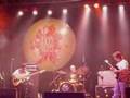 Blues-Festival-Brazi