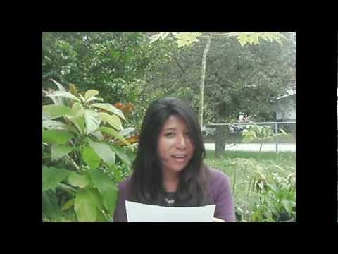 how to grow avocado from seed