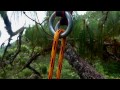 Epiphytes in Cusuco,