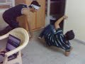 Rise Up video by Sanket & Tejas Rise Up video by Sanket & Tejas