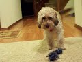 Quinn Playing Hard To Get
