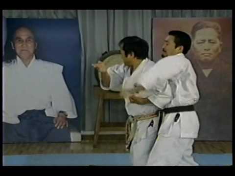 Kata Bunkai Kumite
