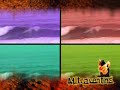 Mitra Surfer - Nuno André Mitra Surfer - Nuno André