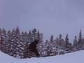 videos de Robbie's 360