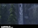 Wtf!?!FP