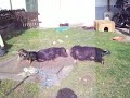 Jamie spielt mit Mama und Geschwistern