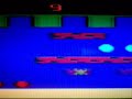 Frogger Frogger