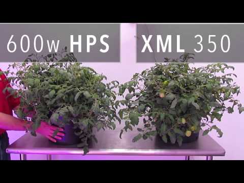 how to grow with hps light