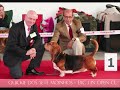 herning_official.wmv