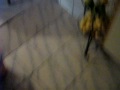 Fiiilme 002