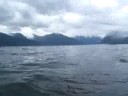 Dive in Sognefjord, Norway (end of dive)