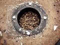 wood gas generator