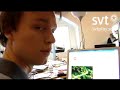 SVT: Morgonsoffan - Bj�rn Gustafsson/Benjamin testar YouTube