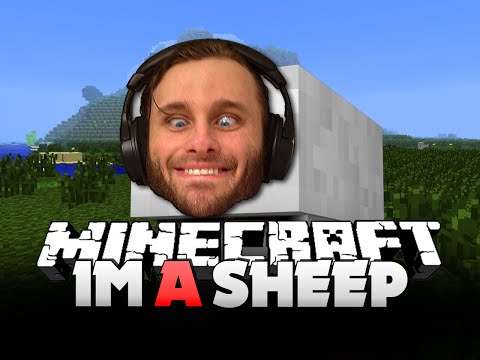 how to get a sheep to follow you in minecraft