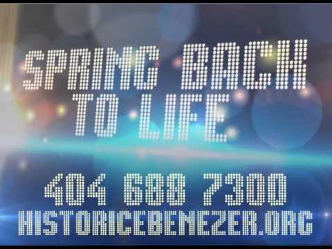 Spring Back To Life 2013