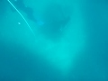 immersione in apnea #2