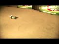 Ansmann Vapor Nitro RC Buggy Self Build Kit Combo