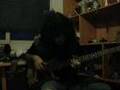 Neoclassical Bass Solo/ Solo de Bajo Neoclásico