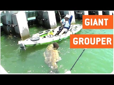You Need A Bigger Boat!
