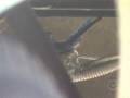 videos de Beija-flor faz ninho embaixo de um carro