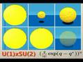 The Standard Model and Gravity Symmetries