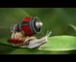 videos de funny transfomer