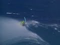 Windsurf Jaws Windsurf Jaws