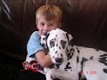 Dillon The Dalmation - Episode 2