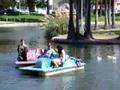 David plays bumper boats with Jayk