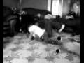 videos de Wrestling With The Sasquatch
