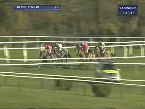 racing results cheltenham