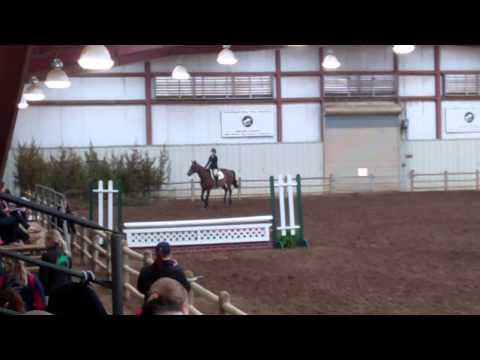 Alison Radgowski's Winning Ride in Team Intermediate Fences - 4/6/14 thumbnail