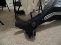 TINY TEACUP MORKIES! - www.yorkiecuties.com (video #12)