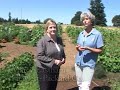 Hewlett Packard Garden Hewlett Packard Garden