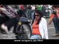 stuntshow championship 2006