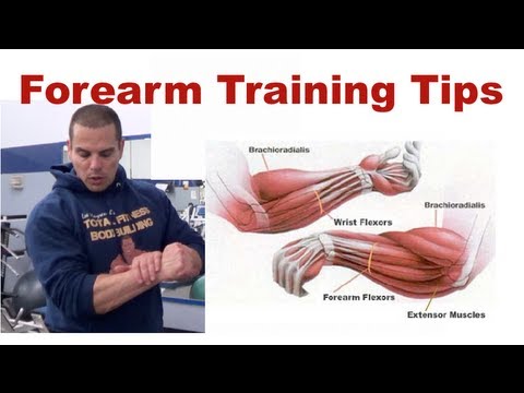 how to build forearms