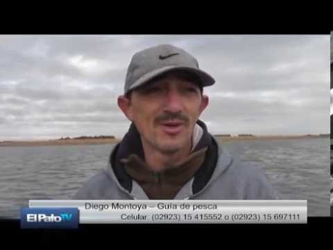 El Pato Televisión del 17 de septiembre de 2016