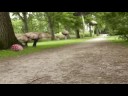 mijn 1e mattepaintings mijn 1e mattepaintings