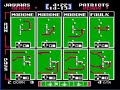 Tecmo-izing The Playoffs: JAX-NE (2nd Half)