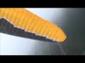 paravid-Acro Dano\ paravid-Acro Dano\