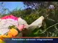 PARACAIDISTA,  cae y sobrevive