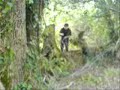 Airsoft Hunt Blue Steel
