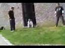 parkourdays mons
