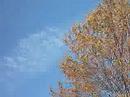 Chemtrails Ellwood City PA shot 3