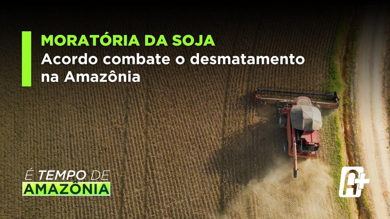 Moratória da Soja: Acordo Combate o Desmatamento na Amazônia.