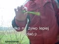 Jak zrobi? faluj?cy d?ugopis