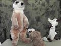 Gang Bang Plushies, Yiffy, yiffing!