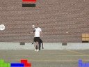 Gatesy Tetris Gatesy Tetris