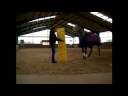 Best horse ever: Ready to go Best horse ever: Ready to go