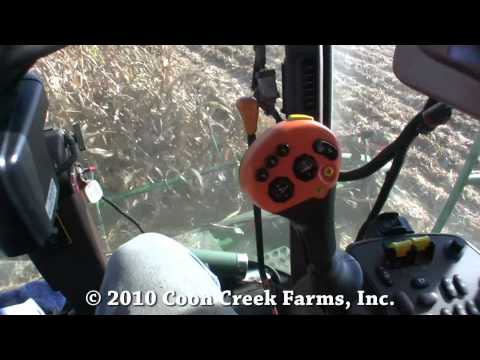 how to harvest down corn